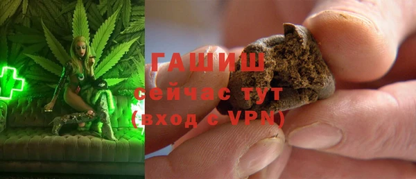 индика Осинники
