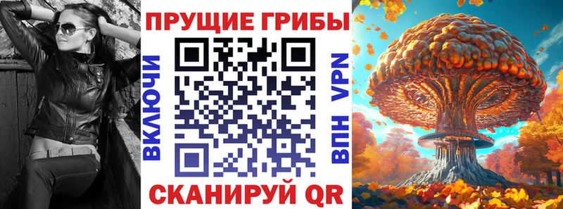 наркота Сольвычегодск Псилоцибиновые грибы Cubensis